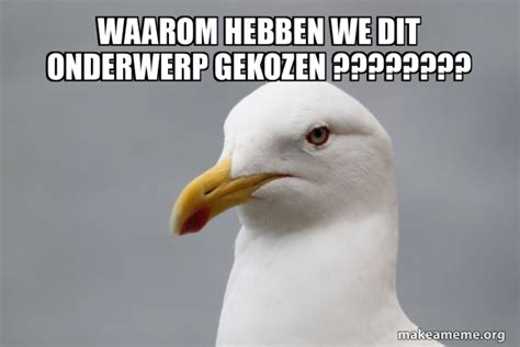 Waarom Dit Onderwerp