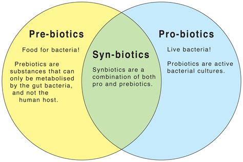 Probiotics, Prebiotics and Health Benefits – Microbe Online