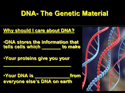 DNA The Genetic Material