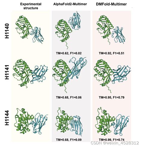 新国大张阳教授团队开发精度远超AlphaFold的AI蛋白质互作结构预测算法 alpha fold dmfold CSDN博客
