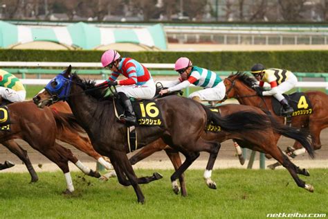 桜花賞はコンクシェルが大穴開けたり開けなかったりする｜あにまん掲示板