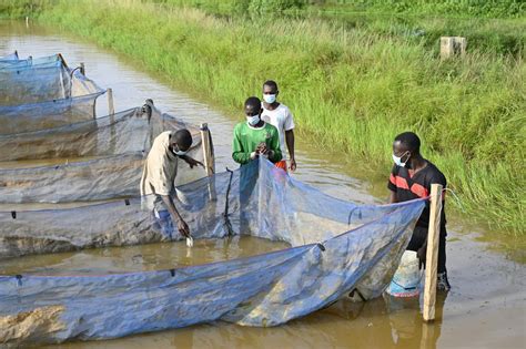 Aquaculture For Food And Sustainable Development