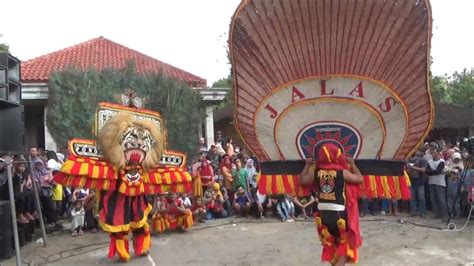 Keren Lur Solah Gulung Pembarong Kondang Reog Ponorogo Bikin