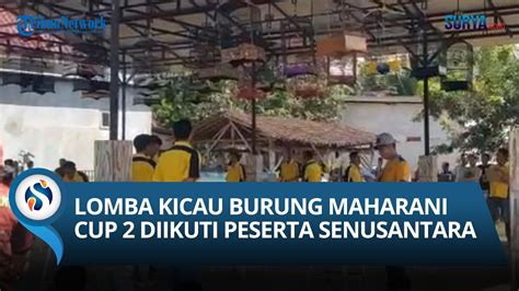 Lomba Kicau Burung Maharani Cup 2 Di Sumenep Antusias Diikuti Ribuan