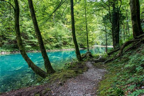 Risnjak National Park - Pine Lodge