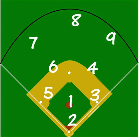 Baseball Positions And Numbers Diagram Quizlet