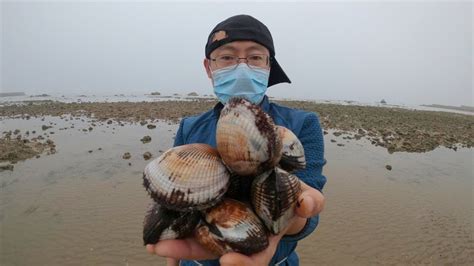 【赶海二哥】二哥起个大早，来之前的“海虹基地”，竟然藏了这么多大毛蛤 Youtube