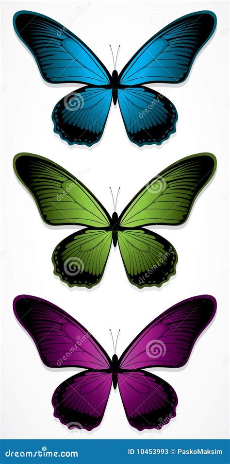 Colorful Butterflies Vector Logo Set Flying Insects Logotypes