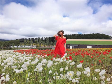 Top 5 Hokkaido Flower Farms to Visit in Summer