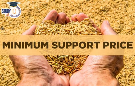 Minimum Support Price MSP Key Issues And Farmers Demands