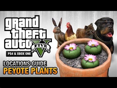 How to turn into a dog and other animals in GTA 5