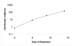 Rat Cortical Stem Cell Culture Expansion Protocol: R&D Systems 