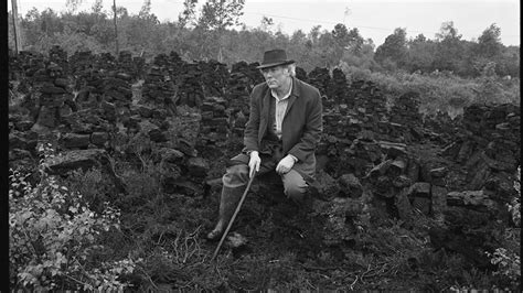 How I Learned To Love Seamus Heaneys Poetry The Irish Times