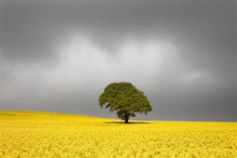 West Yorkshire Landscape Photography - David Speight Photography