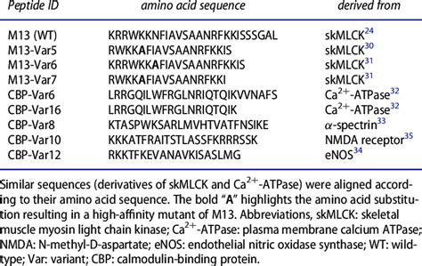 Calmodulin Binding Peptides With Affinity Modulating Properties