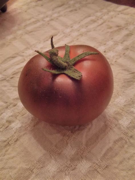 Black Prince Tomato - Mike's Home, Garden, Cooking & Tech