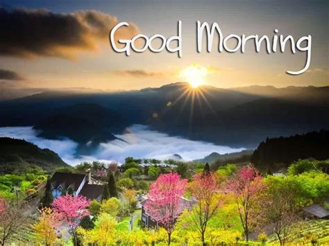 hinh nen chao  rang ro top nhung hinh anh dep