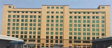 Woying Sexy Solid Micro Bikini Sets For Women