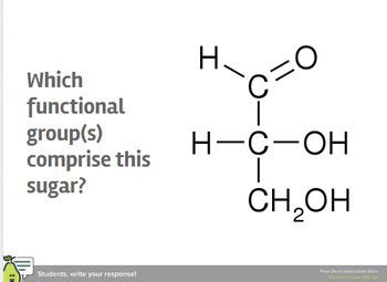 SBI4U Biochemistry Lesson 3 Macromolecules Carbohydrates By Sara