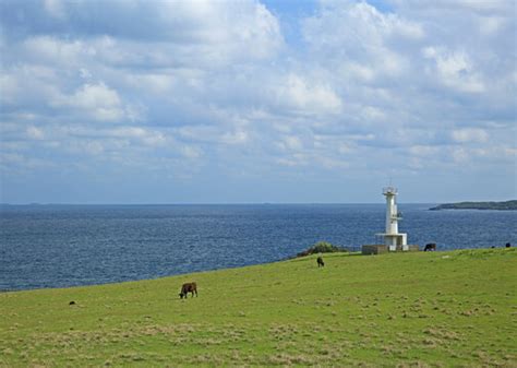 「海の見える丘」の写真素材 3416件の無料イラスト画像 Adobe Stock