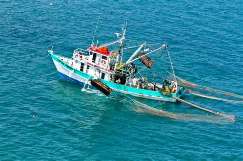 Inicia la pesca del camarón Comisión Nacional de Acuacultura y Pesca