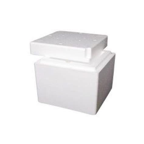 Foamex Foam Cooler Box with Lid, 6L, ctn/20