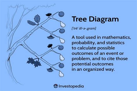 Tree Diagram Definition Uses And How To Create One