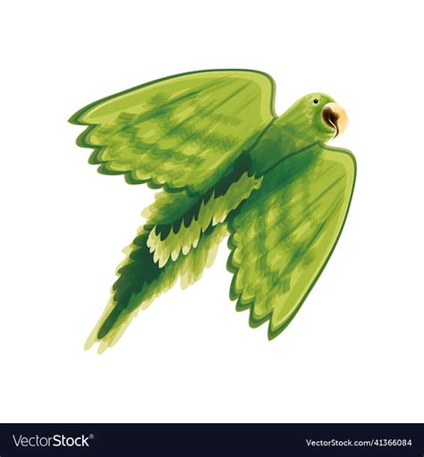 Parrot bird watercolor Royalty Free Vector Image