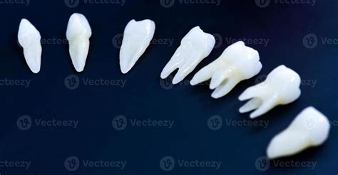 White teeth on blue background 11330911 Stock Photo at Vecteezy