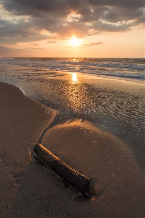 Stump at a Beach . a Stump and the Beach Sunset . Wave . a Tree Stump on the Sands of the ...