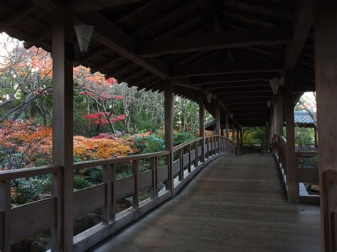 姫路城西御屋敷跡庭園 好古園 紅葉 By 磯釣り師100 （id：11491248） 写真共有サイトphotohito