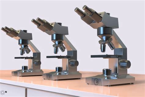 5 Types of Microscopes and Their Sub-types Explained - Rubicon Science