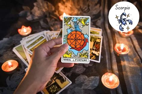 Scorpio Tarot Card Reading Take A Look Inside The Year 2024