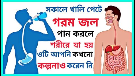 সকালে খালি পেটে এক গ্লাস গরম জল পান করলে শরীরে যা হবে ওটি আপনি কখনোও