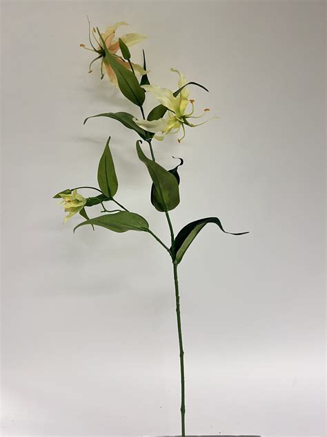 GLORIOSA GEEL 76 CM JIM JON GROOTHANDEL Jim Jon