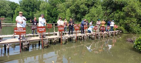 Menteri Lhk Pers Berperan Penting Bagi Kelestarian Hutan