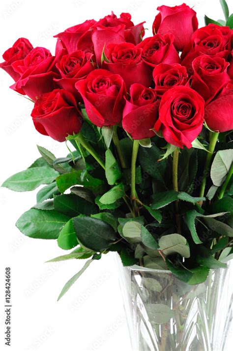 red roses in vase isolated on white background Stock Photo | Adobe Stock