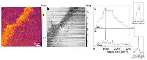 Agglomerates Of And Single 300 Nm Ps Particles On The Sers Substrate Download Scientific