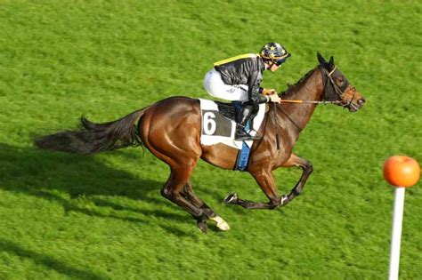 La Photo De L Arriv E Du Prix Des Hortensias Course Pmu Du Jeudi