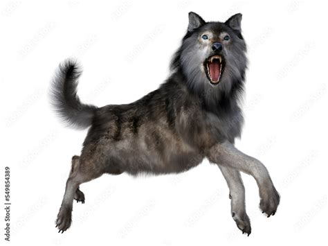 Dire Wolf Leaping - The carnivorous Dire Wolf lived in North and South ...