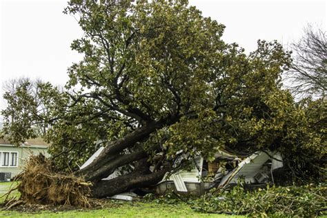 Storm Response Arbor Sense LLC Murfreesboro TN