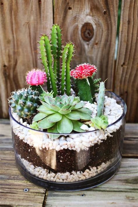 60+ DIY Indoor Succulent Arrangements Ideas 2019 - Page 48 of 61 ...