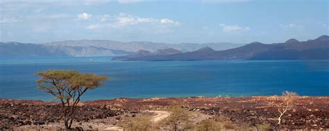 Lake Turkana Safari | Fees, Trips, Prices, Weather [2025]