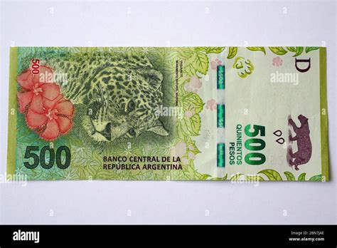 Pesos Argentinos Verloop Io