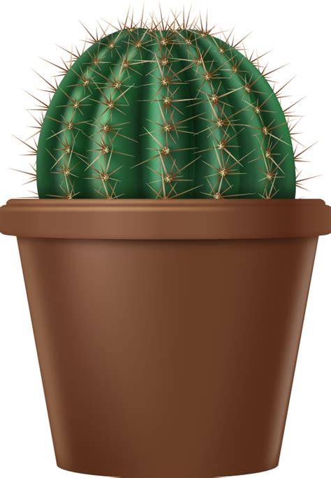 Adesivo Fiore Cactus Rotondo TenStickers