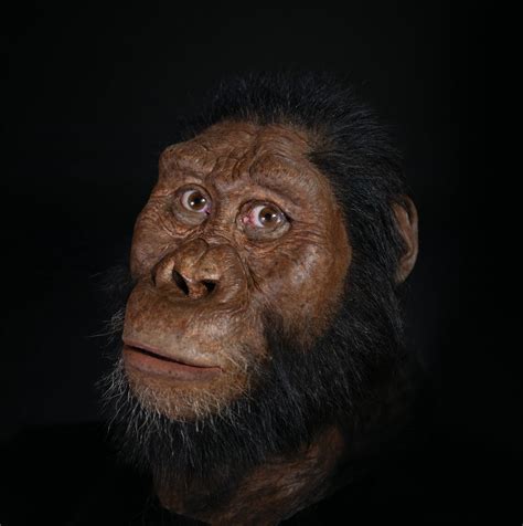 australopithecus anamensis - ekşi sözlük