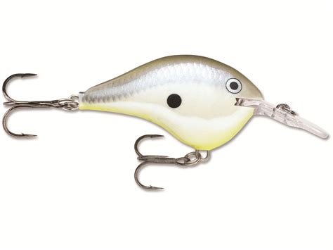 Rapala DT Dives To Series 04 Crankbait Live Largemouth Bass