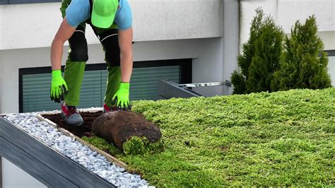 Professional Gardener Installing Green Roofing System 24825168 Stock Video at Vecteezy