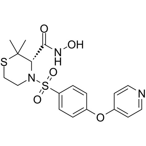 Prinomastat AG3340 KB R9896 CAS 192329 42 3 AbMole BioScience