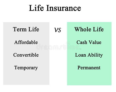 Term life vs whole life stock illustration. Illustration of term ...